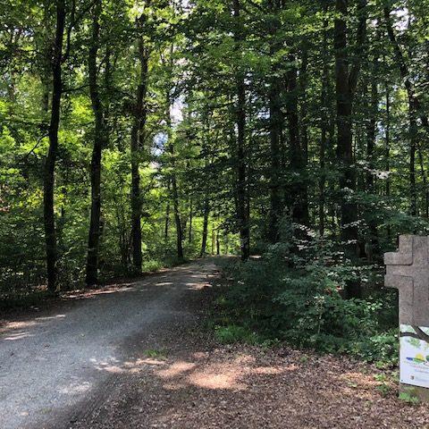 trauerredner-köhler-ruhewald-greußenheim-andachtsplatz