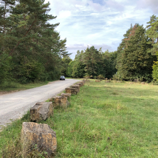 trauerredner-matthias-koehler--naturfriedhof-nüdlingen-11