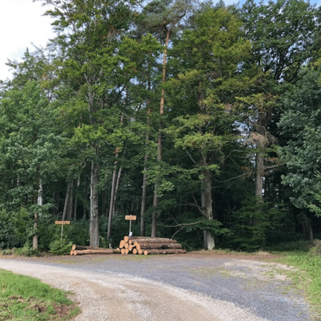 trauerredner-matthias-köhler-schlitz-3