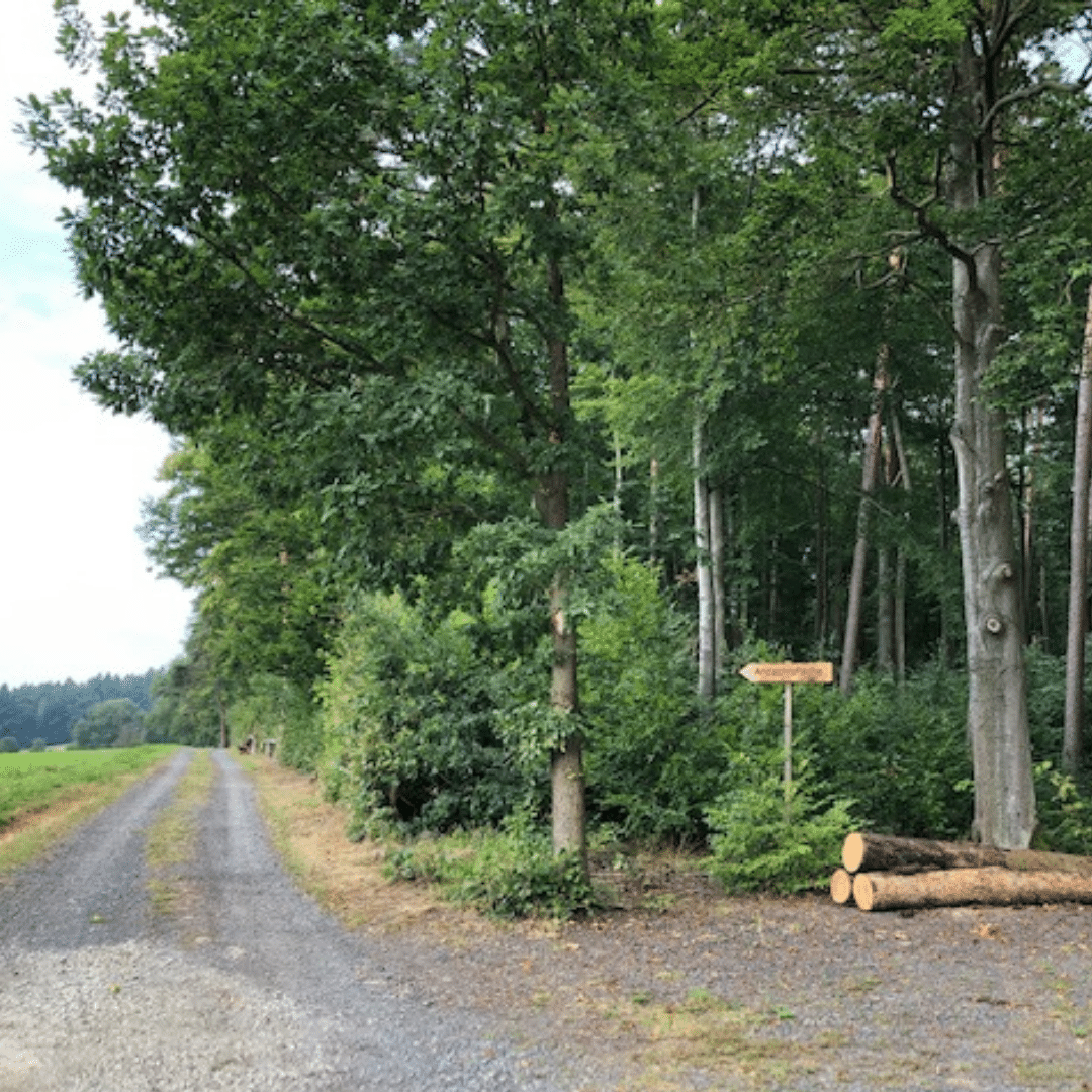 trauerredner-matthias-köhler-schlitz-4